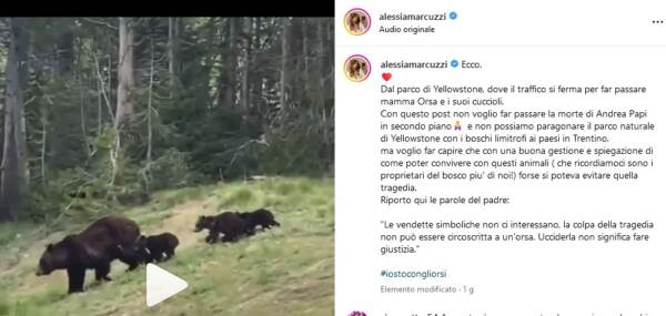 Trentino, Alessia Marcuzzi posta video di orsi da Yellowstone: “Non serve vendetta”