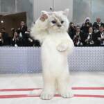 Red carpet dei Met Gala 2023 a New York