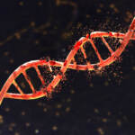 Salute, in Italia 7000 pazienti con la beta-talassemia