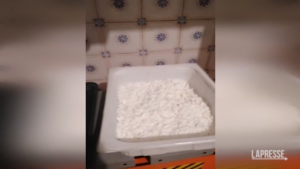 Reggio Calabria, scoperto laboratorio di cocaina: 2 arresti