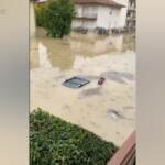 Maltempo, macchine sommerse a Faenza
