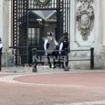 Londra, getta cartucce nel parco di Buckingham Palace: arrestato