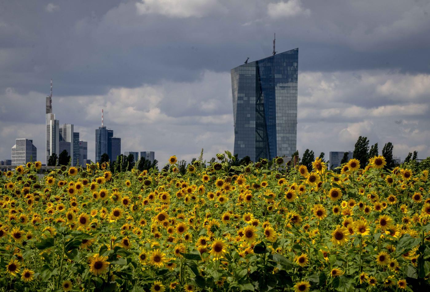 Bce, con aumento tassi possibili rincari mutui fino a 237 euro