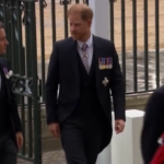 Incoronazione Re Carlo, l’arrivo di Harry a Westminister