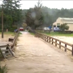 Alluvioni in Nuova Zelanda, strade come fiumi ad Auckland