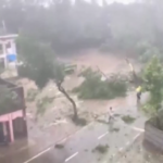 Bangladesh sferzato dal ciclone Mocha, alberi caduti e strade impraticabili