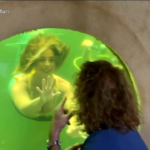 Usa, vive 74 giorni sotto acqua: record di un ricercatore della Florida