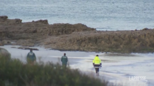 Australia, proseguono ricerche surfista attaccato da squalo