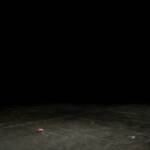 Torino, Exit di Accademia Cirko Vertigo in prima nazionale il 20 maggio