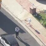 Usa, sciame di api in sobborgo Los Angeles: attaccato uomo