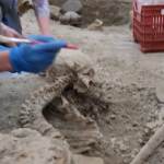 Pompei, due scheletri emergono dallo scavo dei Casti Amanti