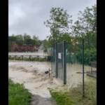 Maltempo, esonda il Savio a Cesena: acqua e fango invadono le strade