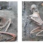 Pompei, scoperti i resti di altre 2 vittime dell’eruzione del 79 d.C.