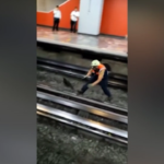 Messico, c’è un pollo sui binari: metro bloccata