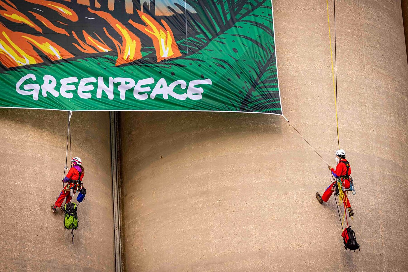 Greenpeace condannata a pagare 650 mln di dollari per proteste contro oleodotto negli Stati Uniti