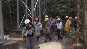 Clima, il Brasile monitora l’Amazzonia: AmazonFace studia effetti C02