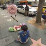 Tina Turner, fiori sulla Walk of Fame di Hollywood
