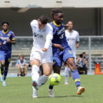 Serie A, Verona-Empoli 1-1: Hellas a 31 punti come lo Spezia