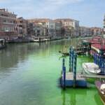 Venezia, chiazza verde fosforescente in Canal Grande