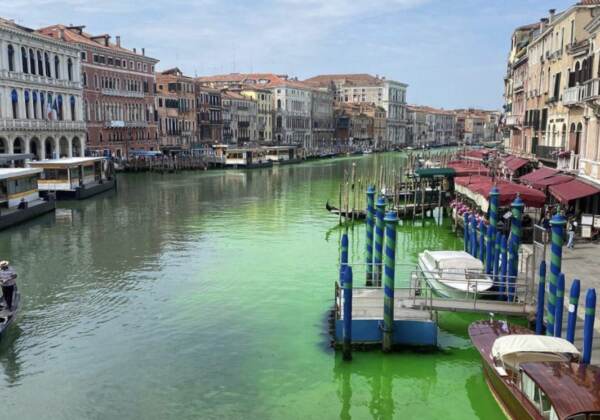 Venezia, chiazza verde fosforescente in Canal Grande