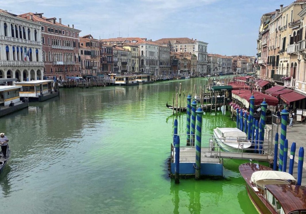 Venezia, chiazza verde fosforescente in Canal Grande