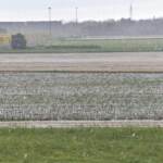 Maltempo, tempesta di grandine a Torbole sul Garda