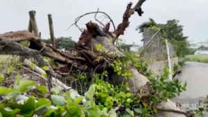Isole Okinawa colpite da tempesta tropicale in Giappone: 8 feriti