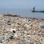 Ambiente, superato limite plastica: danni quasi irreversibili