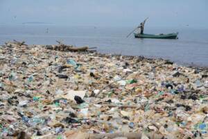 Ambiente, superato limite plastica: danni quasi irreversibili