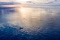 Raccolta di plastica nell’oceano Pacifico