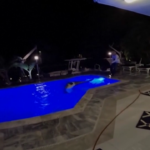 Usa, trovato coccodrillo di 3 metri in piscina in Florida