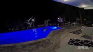 Usa, trovato coccodrillo di 3 metri in piscina in Florida
