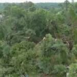 Usa, Alabama devastata da un tornado: i danni