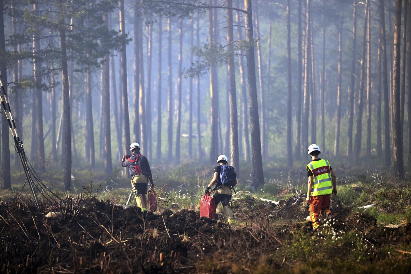 Clima, allarme incendi in nord Europa