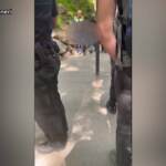 Germania, spinge turista da Castello di Neuschwanstein: arrestato