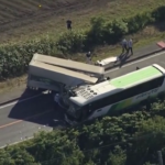 Giappone, scontro bus-camion: 5 morti