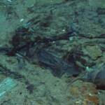 Sommergibile scomparso vicino a Titanic, ecco come funziona Titan