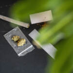 Stretta sulla cannabis light, divieto di vendita ai minori