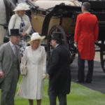 Gb, Carlo III e Camilla arrivano alla Royal Ascot