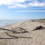 Spiagge invase da cicche e plastica, torna campagna pulizia Legambiente