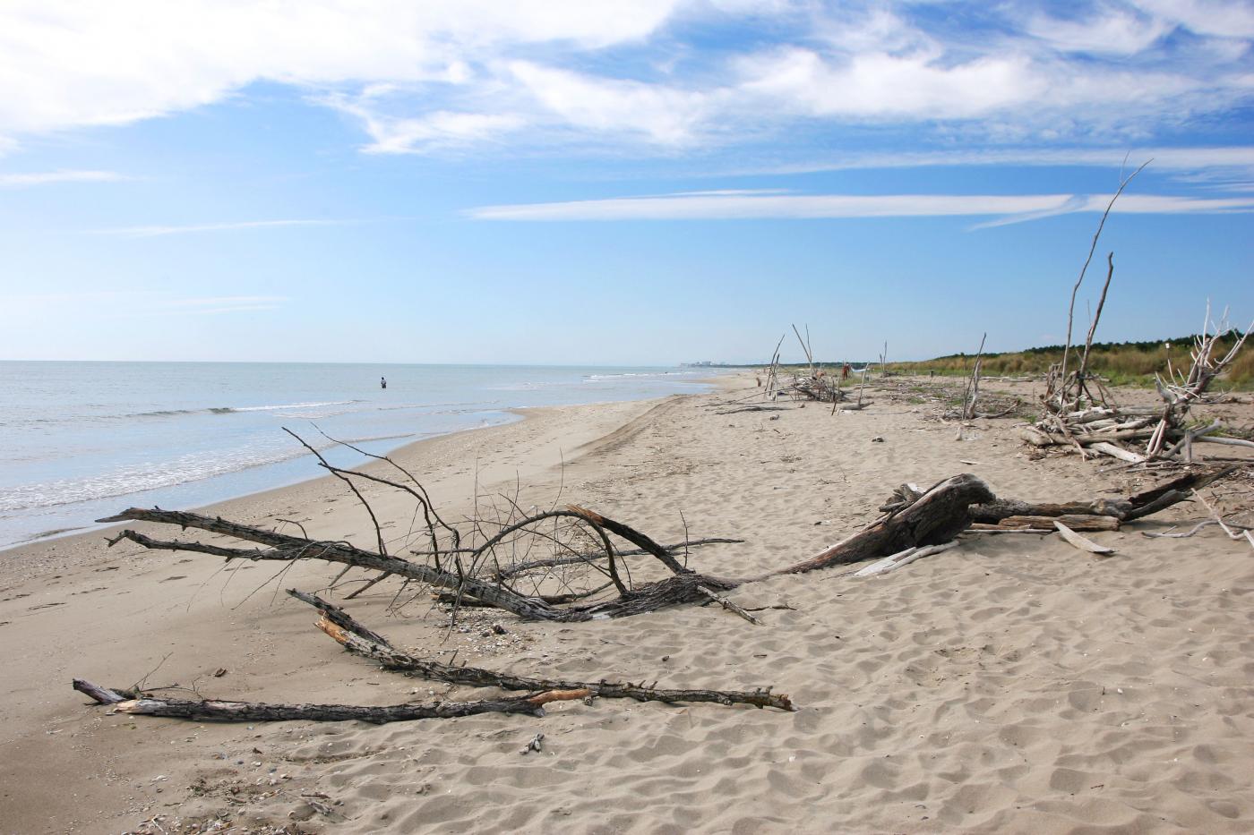 Spiagge invase da cicche e plastica, torna campagna pulizia Legambiente