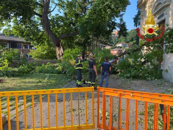 Varese, cade albero: 8 feriti tra cui due bambini