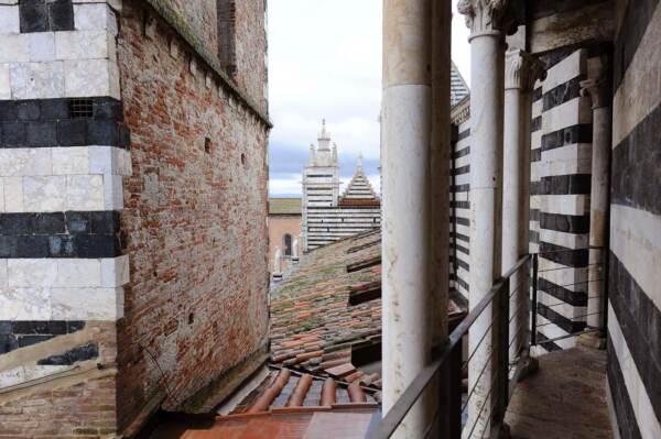 CATTEDRALE DI SIENA