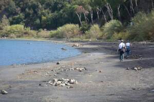 Siccità Roma, prelievi dal lago di Bracciano