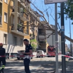 Milano, albero cade in via Gluck: nessun ferito