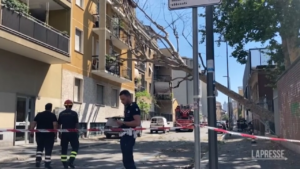Milano, albero cade in via Gluck: nessun ferito