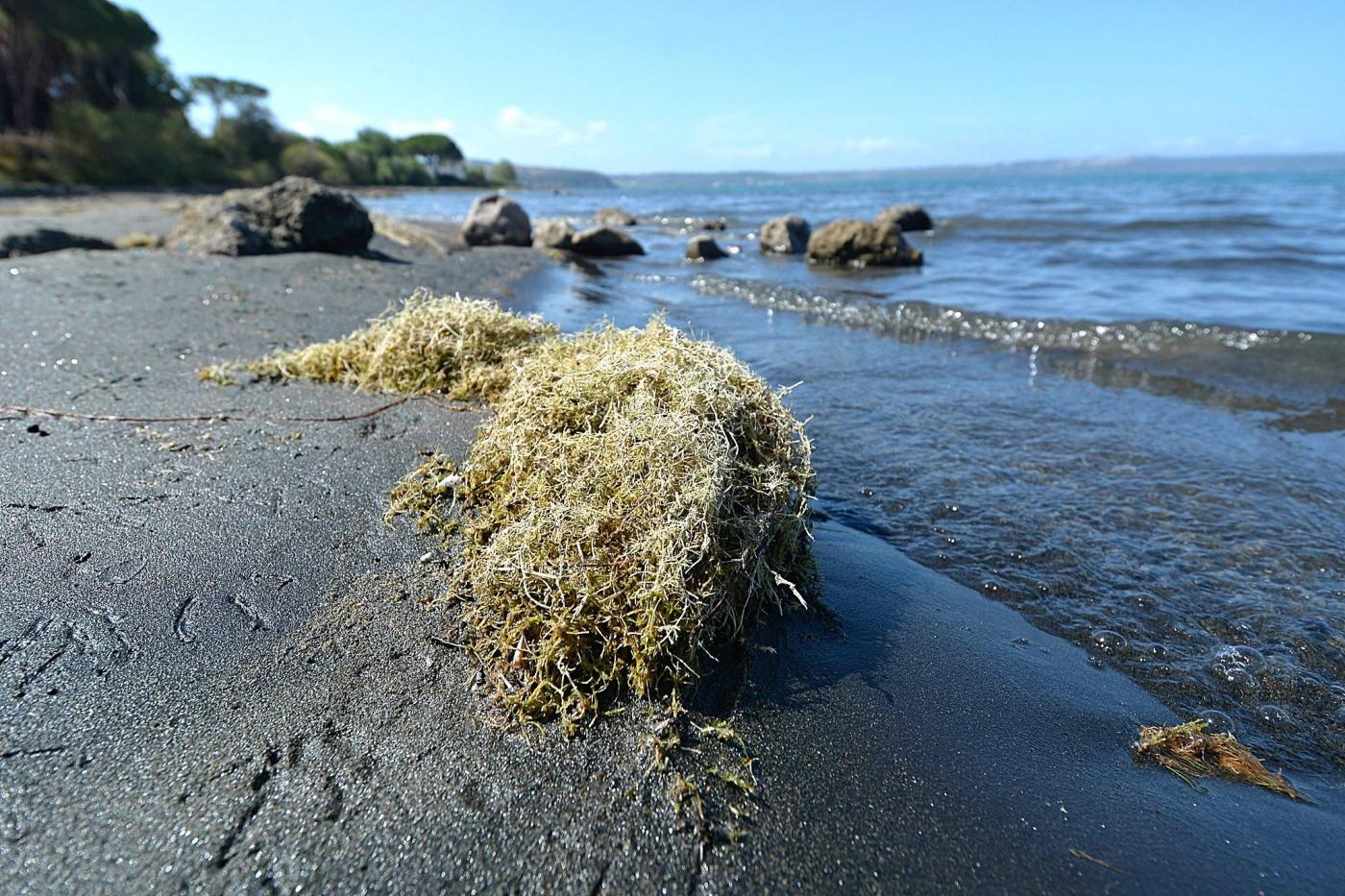 Roma, recuperato corpo in lago Bracciano