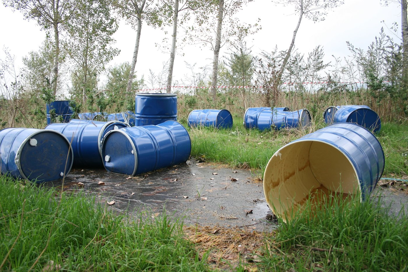 Ue, proposta per rigenerare suoli: il 60-70% è malsano Ue, proposta per rigenerare suoli: il 60-70% è malsano