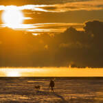Clima, è tornato dopo 7 anni El Nino: rischio di caldo record