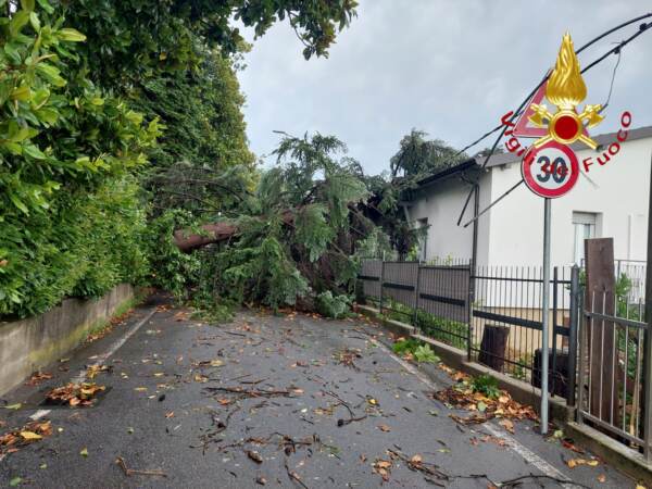 Maltempo in Nord Italia: in Trentino 2.500 fulmini in un’ora